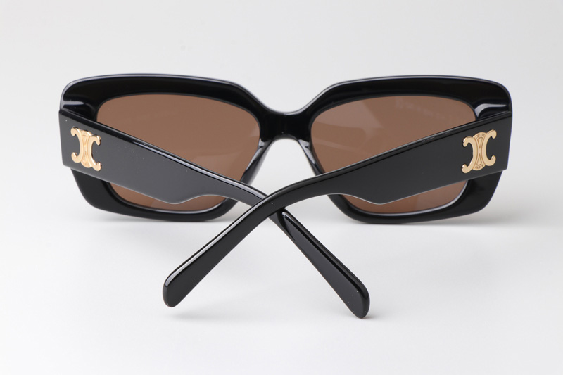 CL4S216 Sunglasses Black Brown