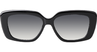 CL4S216 Sunglasses Black Gradient Gray