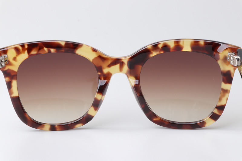 CSHK002 Sunglasses Tortoise Gradient Brown