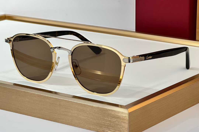 CT0012S Sunglasses Gold Brown