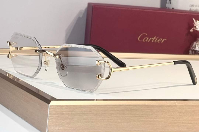 CT0092O Sunglasses Gold Photochromic Gray