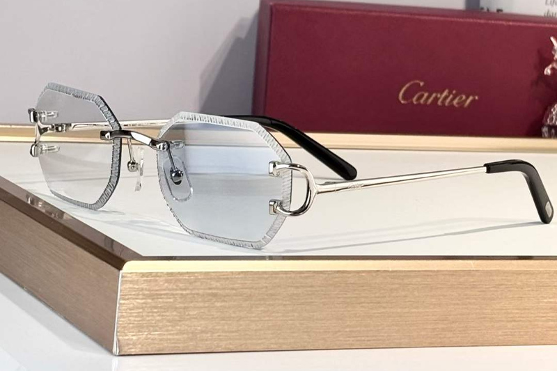 CT0092O Sunglasses Silver Photochromic Blue