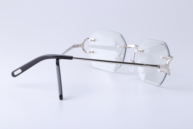 CT0092O Sunglasses Silver Photochromic Gray