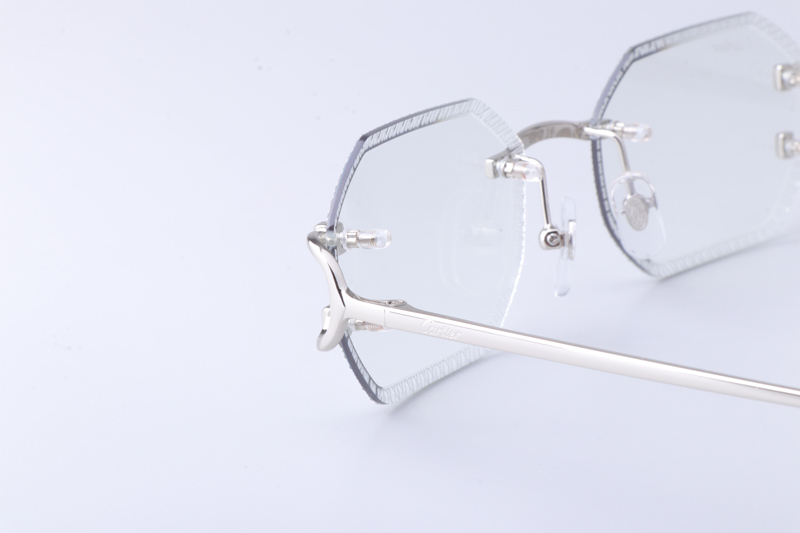 CT0092O Sunglasses Silver Photochromic Gray