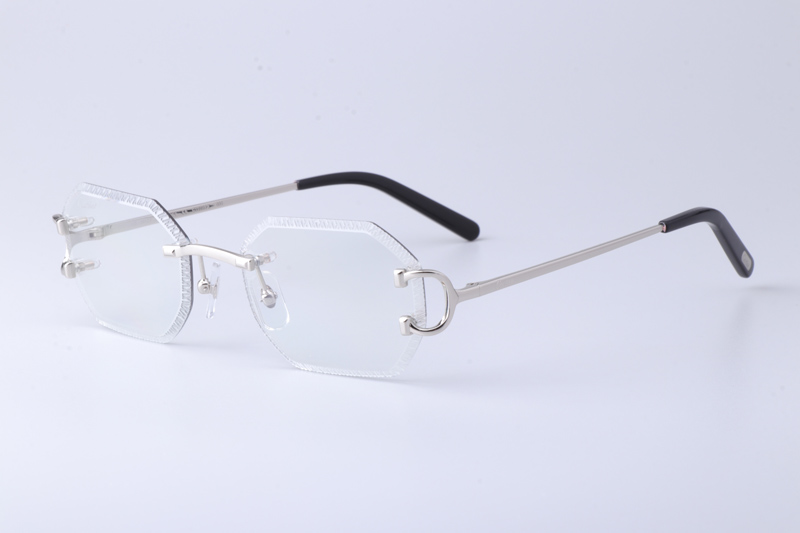 CT0092O Sunglasses Silver Photochromic Gray