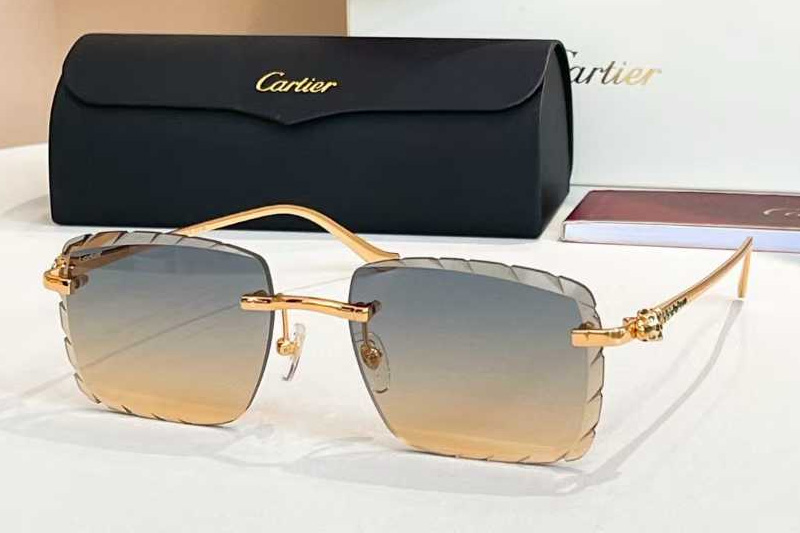 CT01588O Sunglasses Gold Gradient Blue