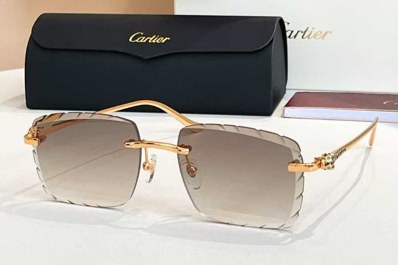 CT01588O Sunglasses Gold Gradient Light Brown