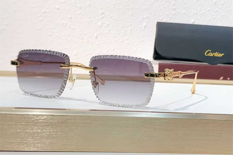 CT01841O Sunglasses Gold Gradient Gray