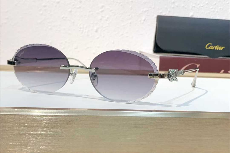 CT01843O Sunglasses Silver Gradient Gray
