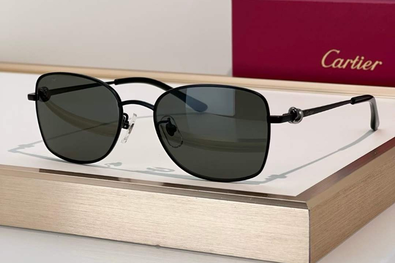 CT0223O Sunglasses Black Gray