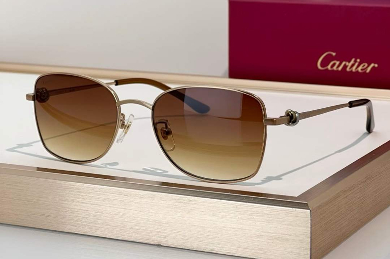 CT0223O Sunglasses Gold Gradient Brown