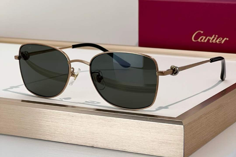 CT0223O Sunglasses Gold Gray