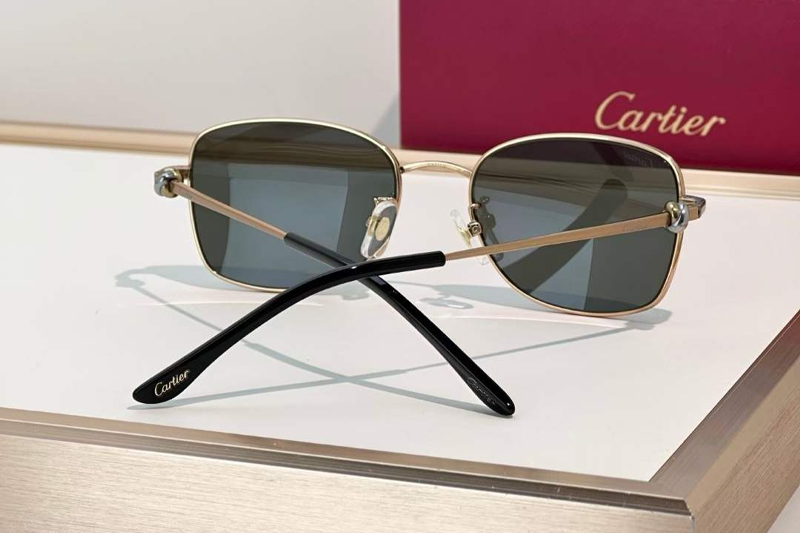 CT0223O Sunglasses Gold Gray