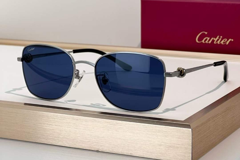 CT0223O Sunglasses Silver Blue