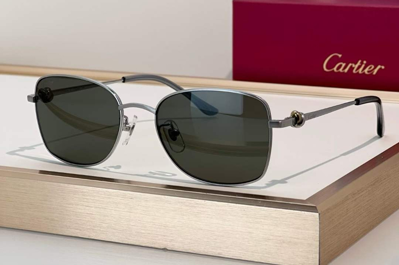 CT0223O Sunglasses Silver Gray