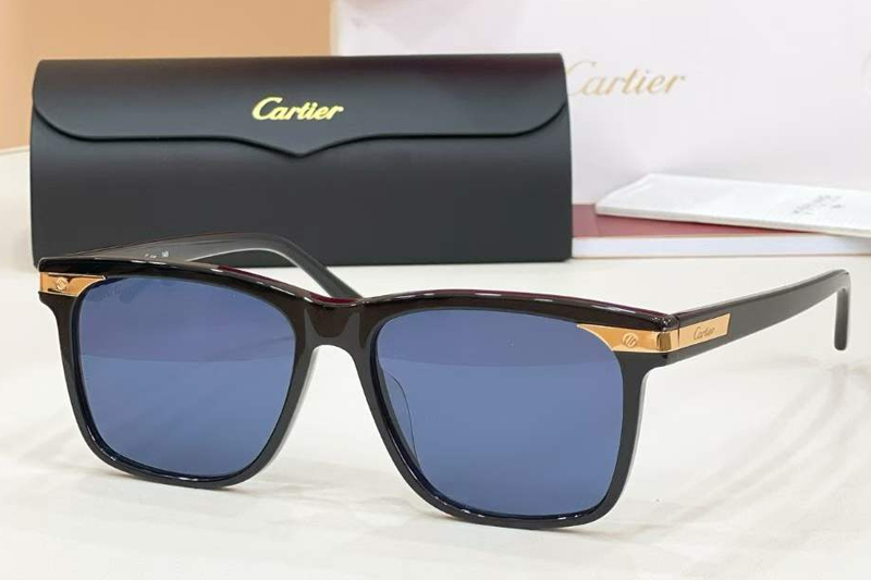 CT0223S Sunglasses Black Gold Blue