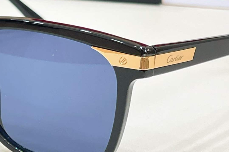CT0223S Sunglasses Black Gold Blue