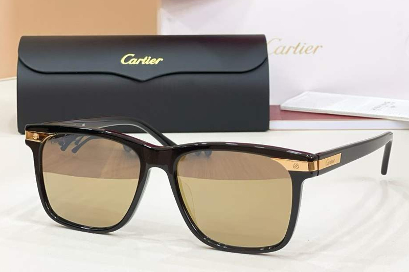 CT0223S Sunglasses Black Gold Gold Mirror