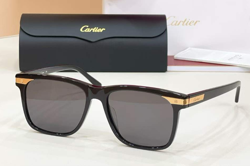 CT0223S Sunglasses Black Gold Gray