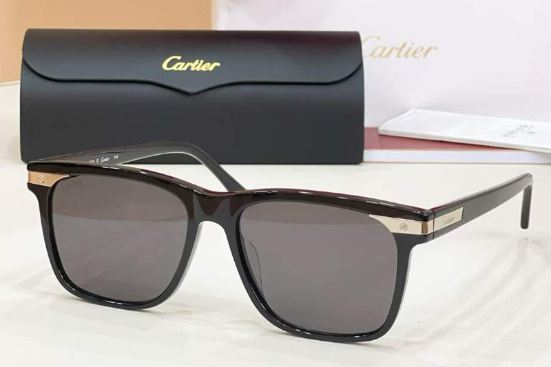 CT0223S Sunglasses Black Silver Gray