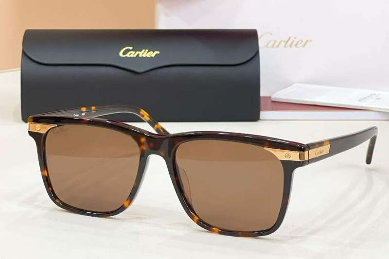 CT0223S Sunglasses Tortoise Brown