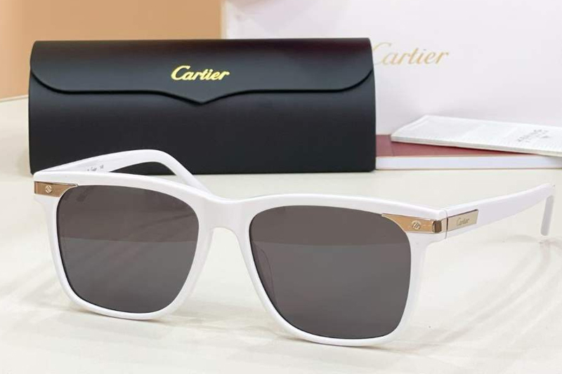 CT0223S Sunglasses White Gray