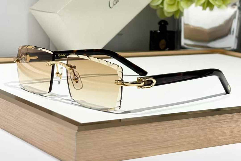 CT0243 Sunglasses Gold Gradient Brown