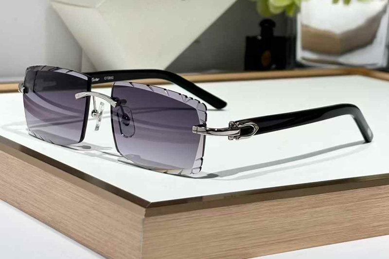 CT0243 Sunglasses Silver Gradient Gray