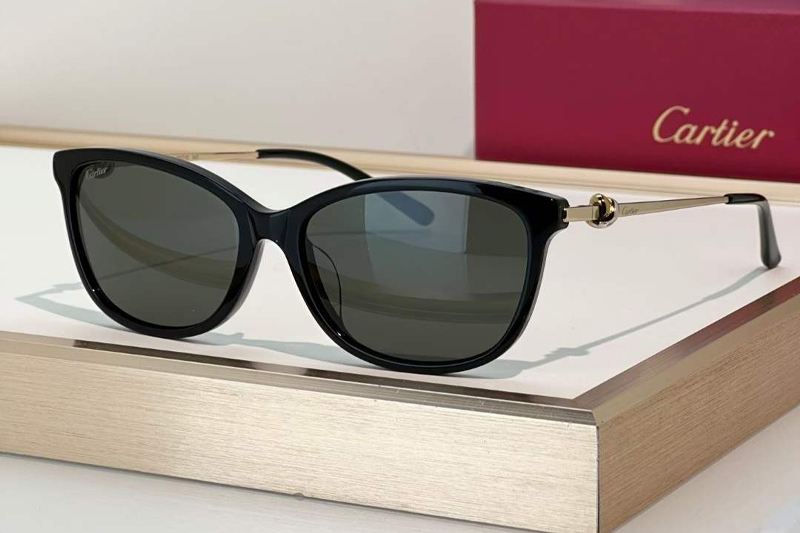 CT0257OA Sunglasses Black Gold Gray
