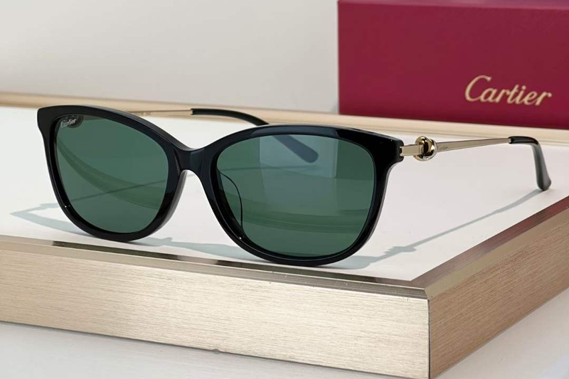 CT0257OA Sunglasses Black Gold Green