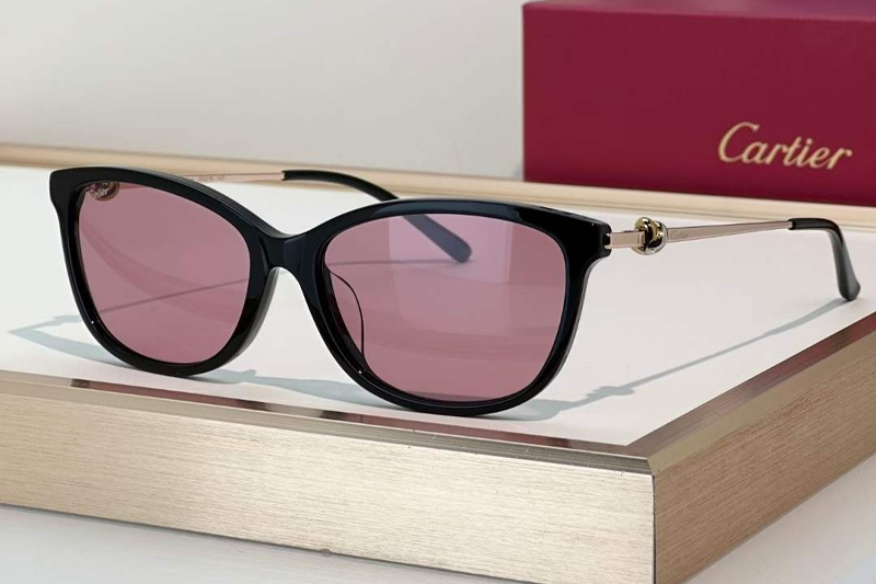 CT0257OA Sunglasses Black Gold Pink