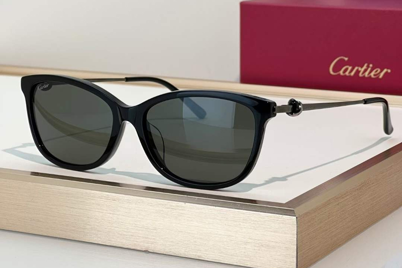 CT0257OA Sunglasses Black Gunmetal Gray