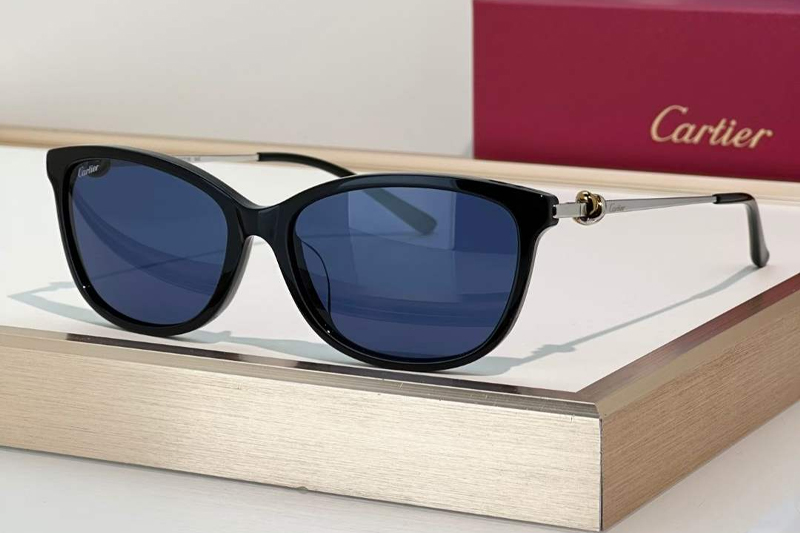 CT0257OA Sunglasses Black Silver Blue