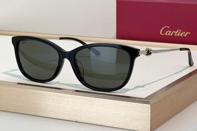 CT0257OA Sunglasses Black Silver Gray