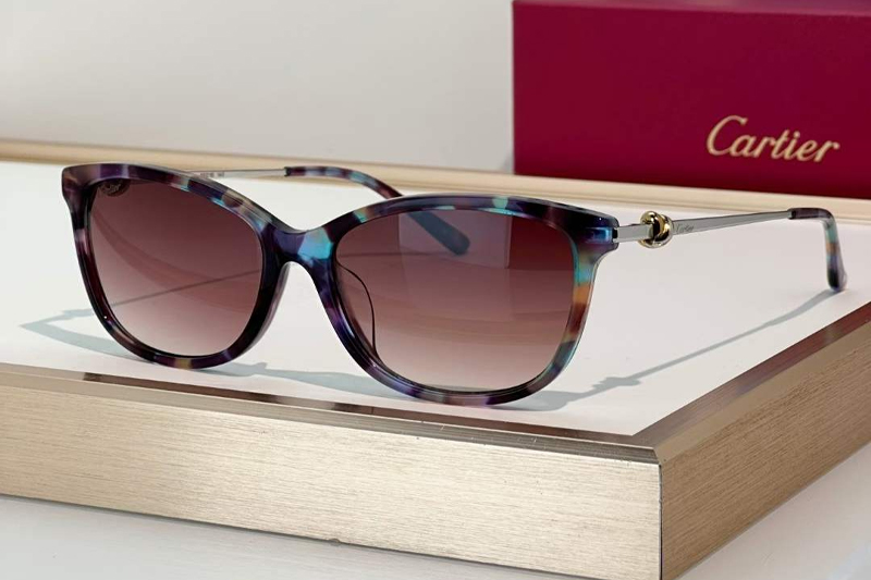CT0257OA Sunglasses Purple Tortoise Gradient Pink