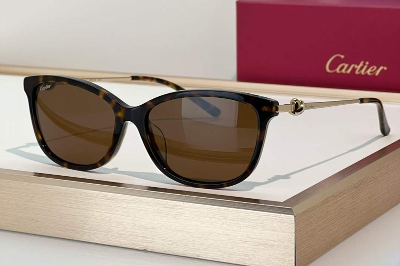 CT0257OA Sunglasses Tortoise Brown