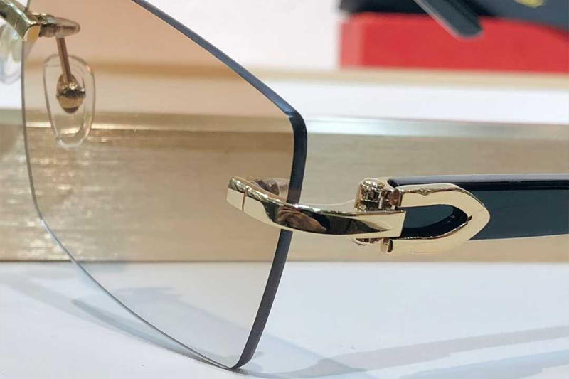 CT0273S Sunglasses Gold Gradient Brown