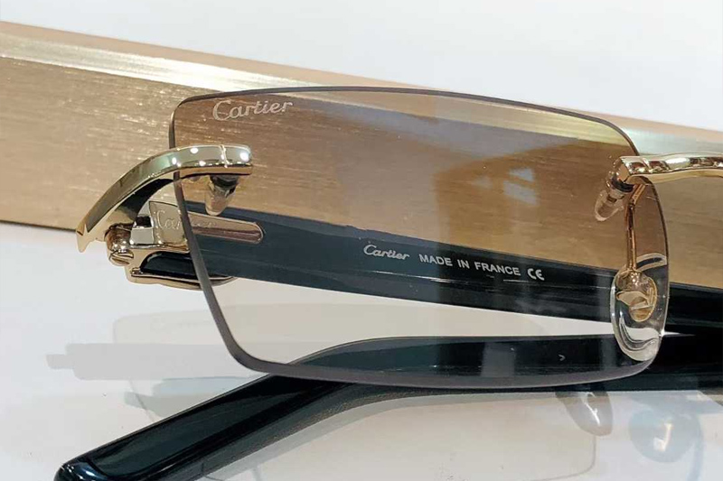 CT0273S Sunglasses Gold Gradient Brown