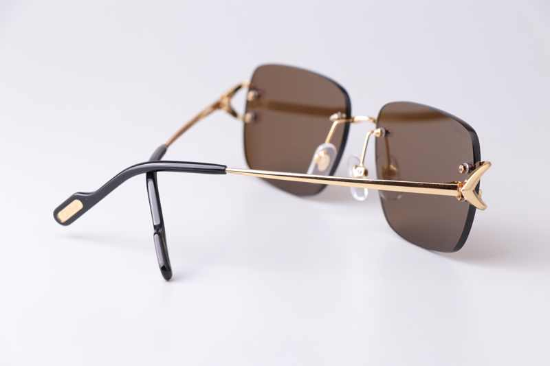 CT0330S Sunglasses Gold Brown