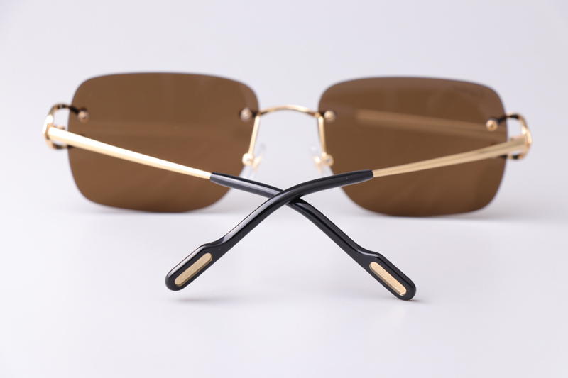 CT0330S Sunglasses Gold Brown