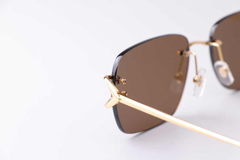 CT0330S Sunglasses Gold Brown