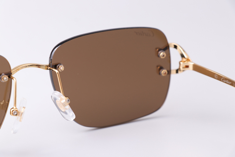 CT0330S Sunglasses Gold Brown