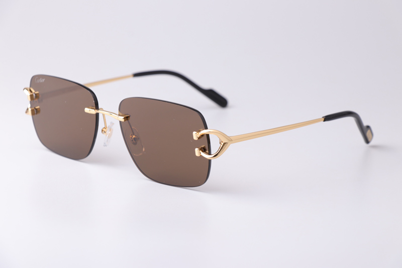 CT0330S Sunglasses Gold Brown