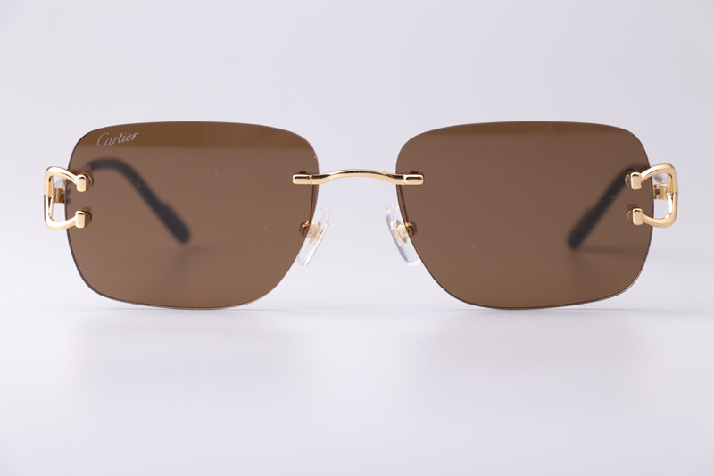 CT0330S Sunglasses Gold Brown