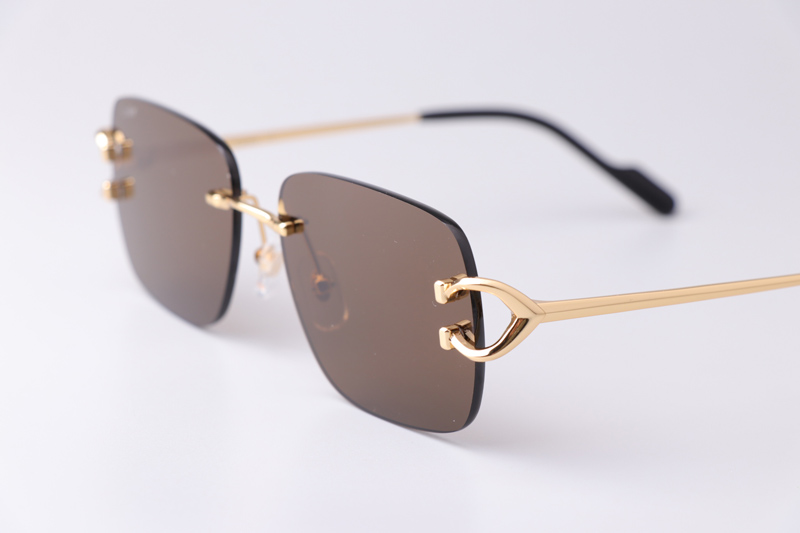 CT0330S Sunglasses Gold Brown
