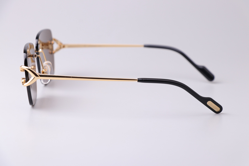 CT0330S Sunglasses Gold Brown