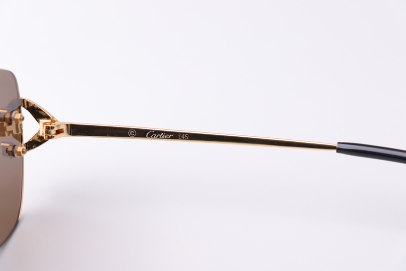 CT0330S Sunglasses Gold Brown