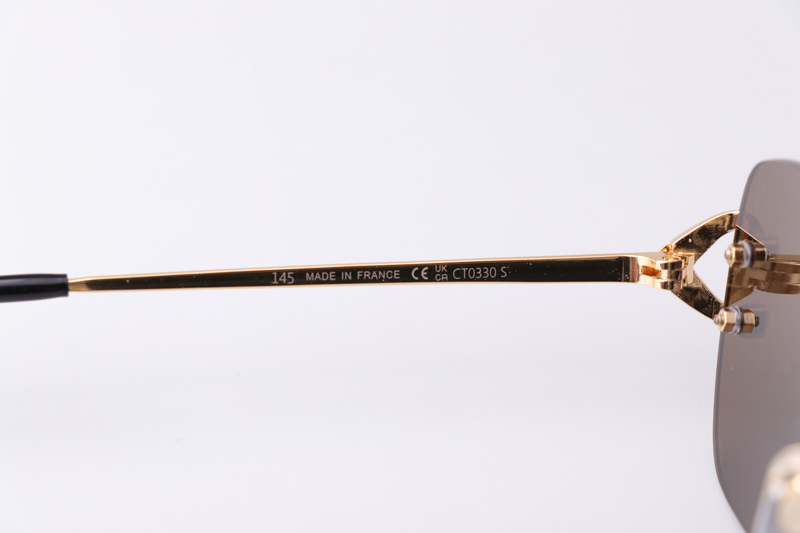 CT0330S Sunglasses Gold Brown