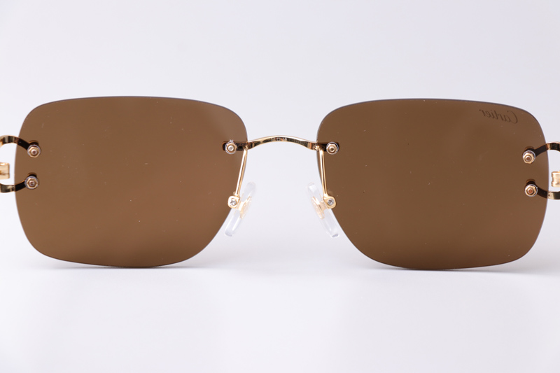 CT0330S Sunglasses Gold Brown