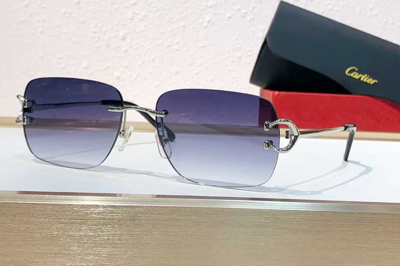 CT0330S Sunglasses Silver Gradient Blue